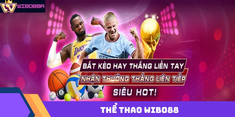cá cược thể thao Wibo88