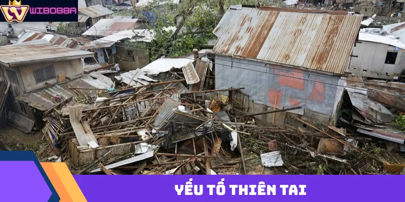 yếu tố thiên tai