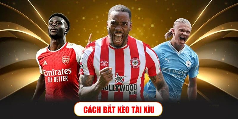 Bắt kèo Tài Xỉu – Món nghề phải nắm để chinh phục tại Wibo88