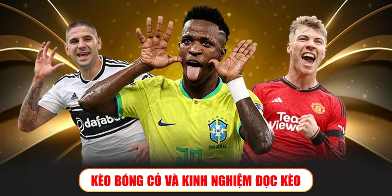 Kèo bóng cỏ và kinh nghiệm đọc kèo để thắng lớn trên Wibo88