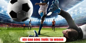 Khám Phá Wibo88 - Hành Trình Đến Với Sân Chơi Thú Vị Và Đầy Cơ Hội